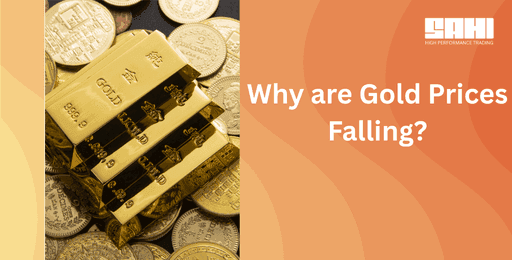 Website - Blog Banners (65).png