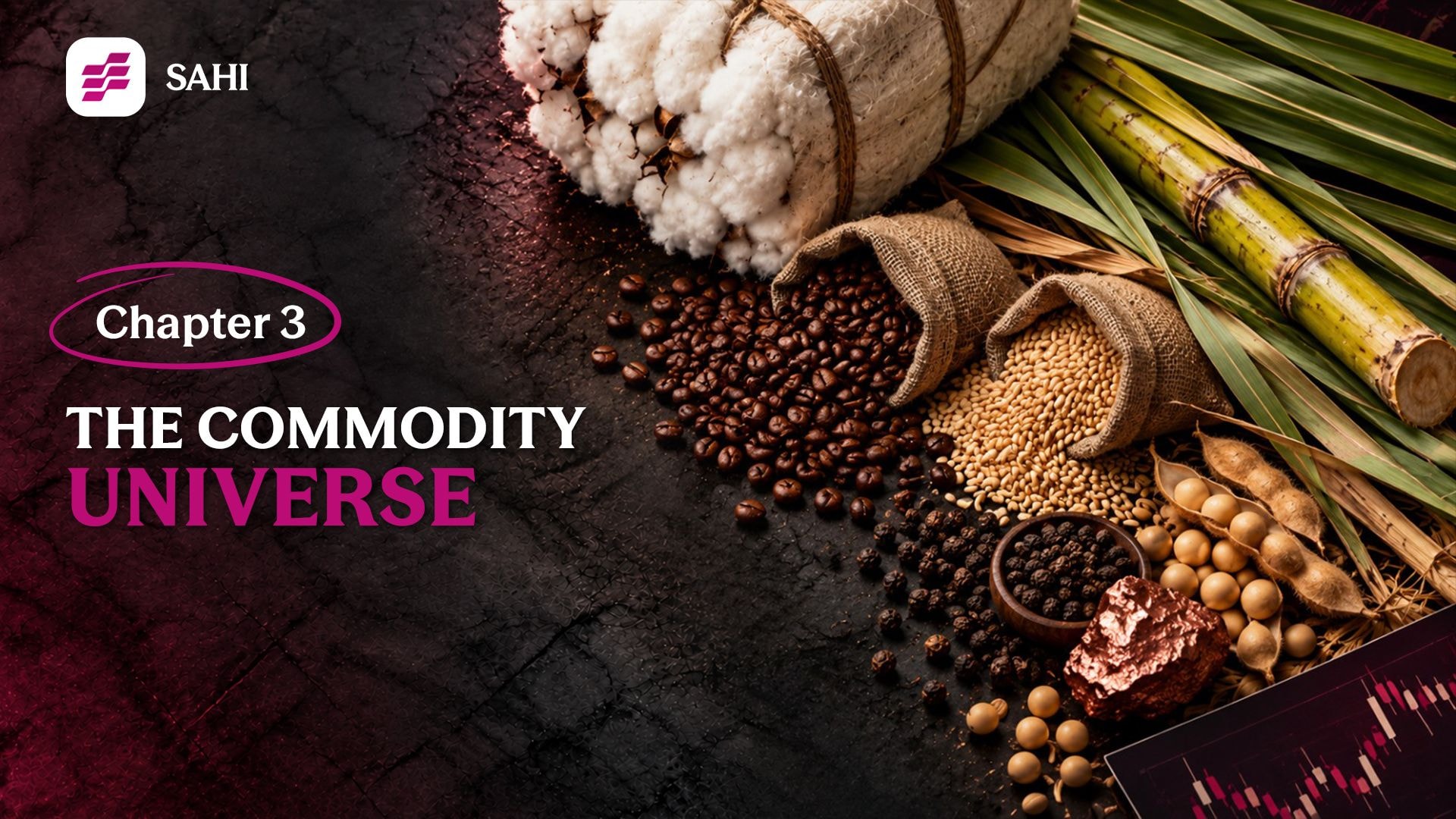 The Commodity Universe: Agri vs Non-Agri Commodities Explained | Commodity Trading Course Chapter 3
