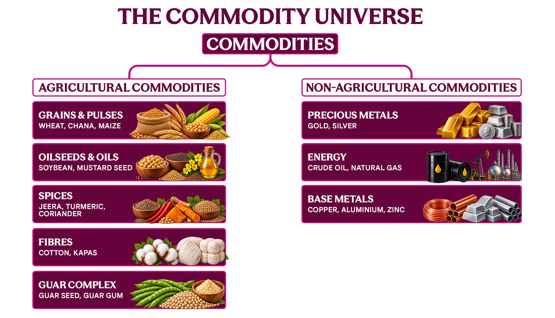 The Commodity Universe